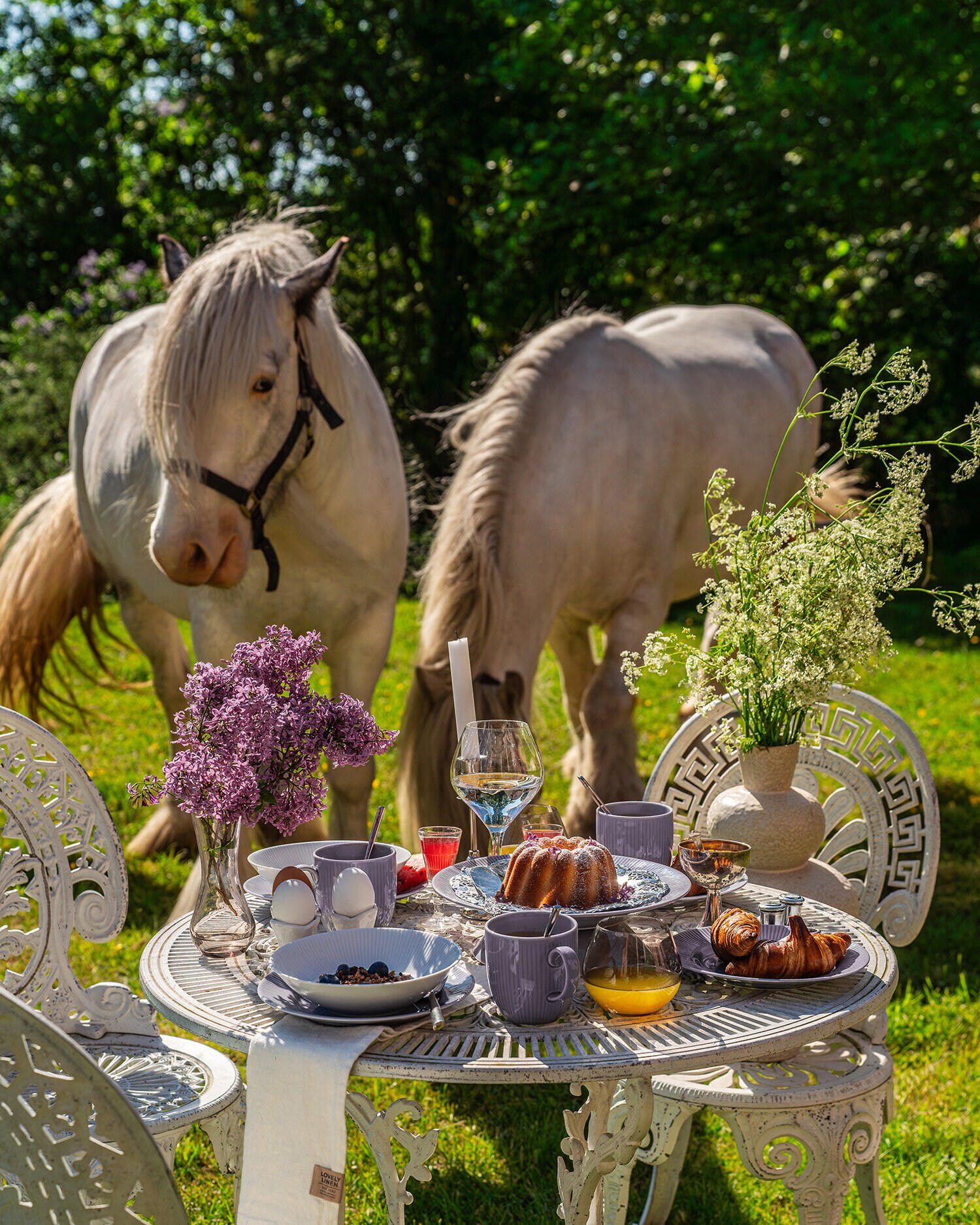 Nydelig dekket frokostbord ute sammen med hvite hester