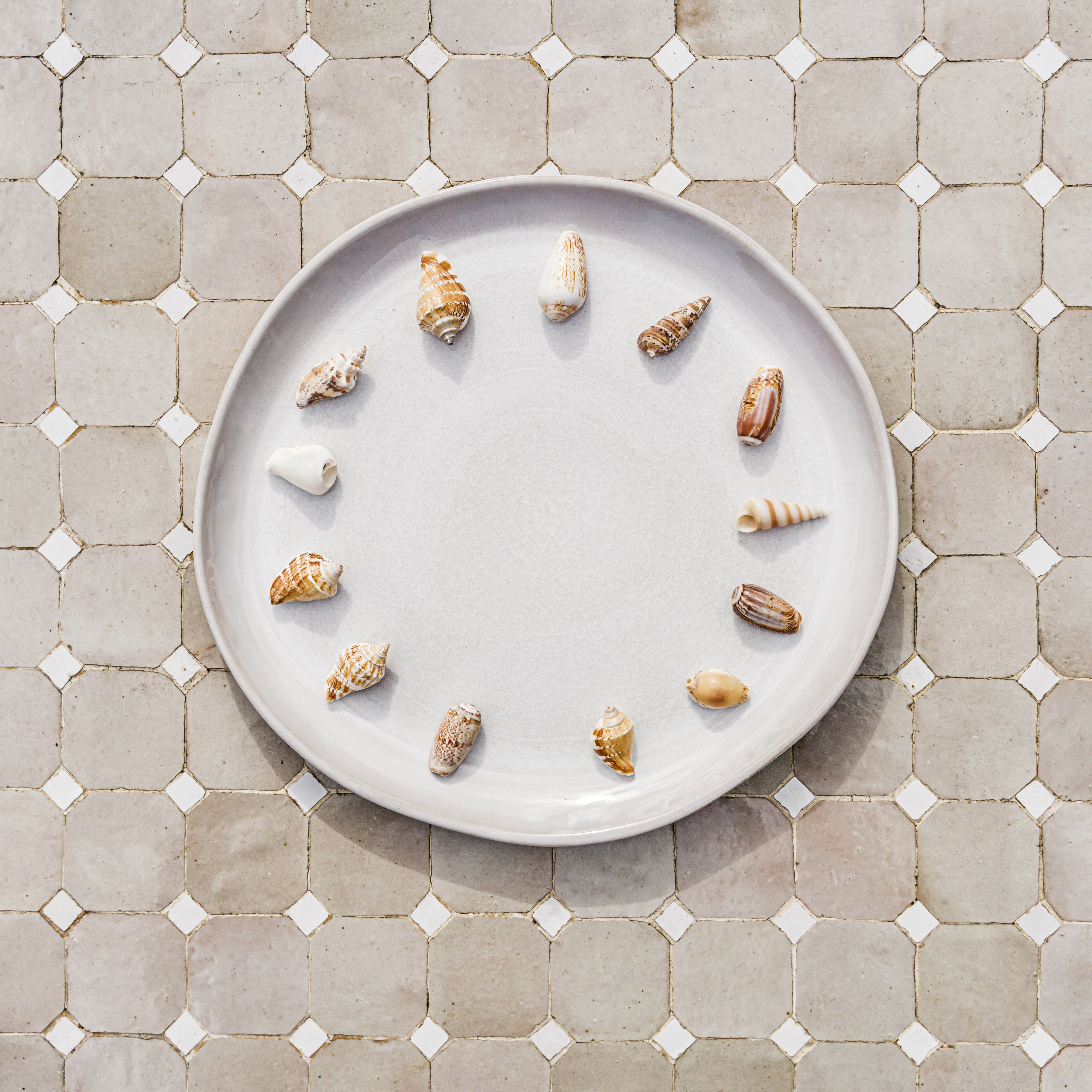 Shell tallerkensæt 16 dele, 8 pers