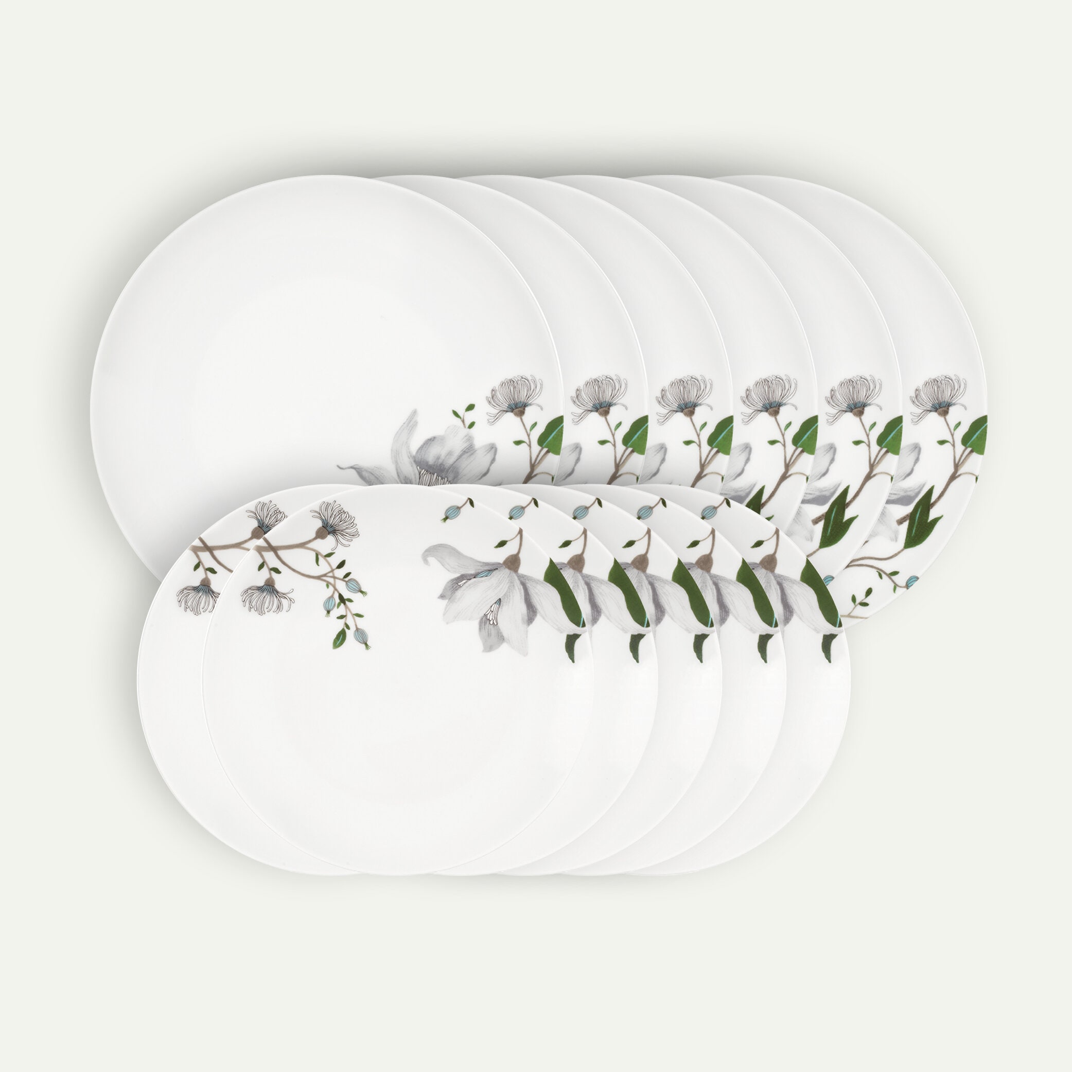 Clematis tallriksset 12 delar